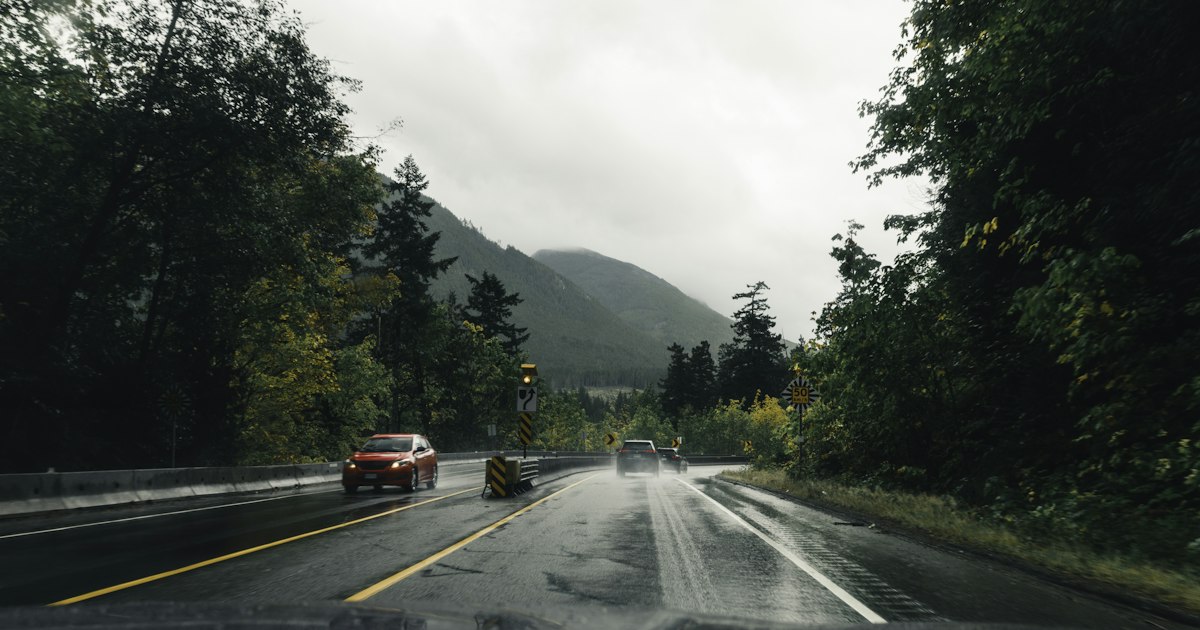 Auto's op een natte weg door een bos bij regenachtig weer